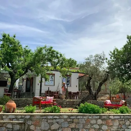 Del & Sol * 斯科派洛斯